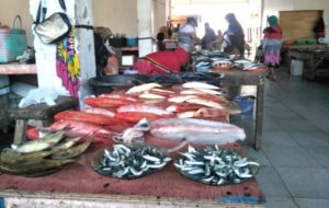 Harga Ikan Dipasar Kotabunan Mulai Stabil, Berikut Harga dan Jenisnya