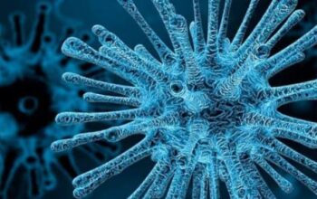 Virus