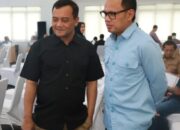wakil menteri dalam negeri
