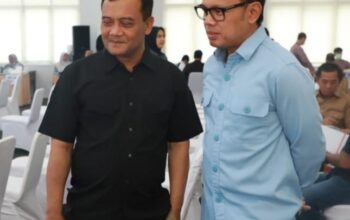wakil menteri dalam negeri