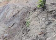Bukan Perusak, APRI Sebut Penambang Lokal di Lokasi Molobok adalah Pahlawan Keluarga